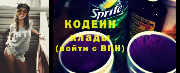 спайс Корсаков