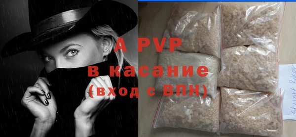 спайс Корсаков