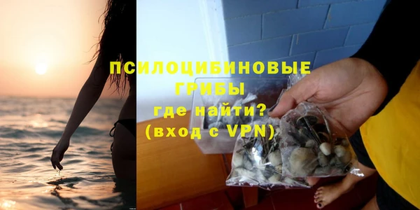 каннабис Коряжма