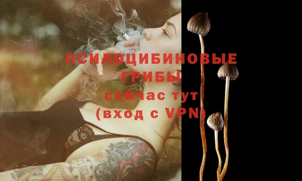 дживик Костерёво