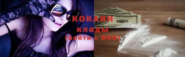 спайс Корсаков