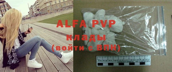 спайс Корсаков