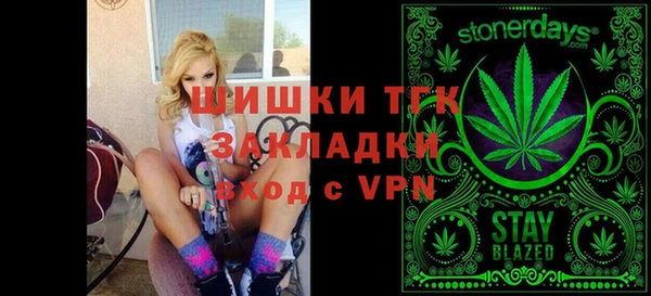 спайс Корсаков