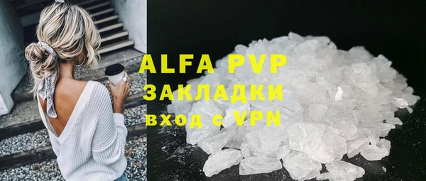 спайс Корсаков