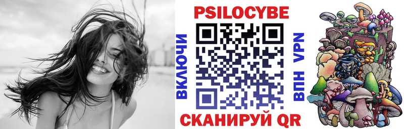 Псилоцибиновые грибы прущие грибы  Купить  Бабушкин 